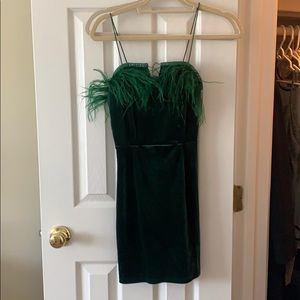 Green velvet feathered dress!